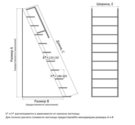 Лестница из нержавеющей стали Трап-Н 700 приставная Трап-Н 700 фото производителя